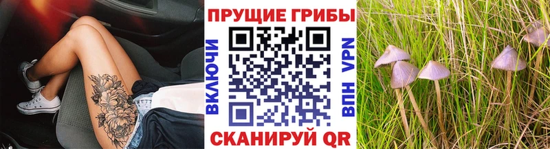 Купить закладки  Одинцово  Галлюциногенные грибы мицелий 